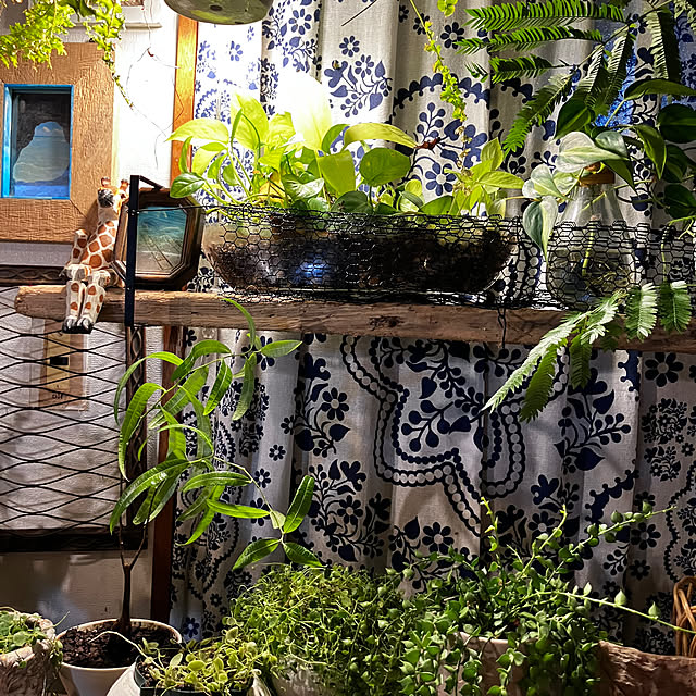 ganchan_0910さんの部屋