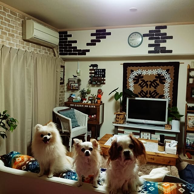 yukaさんの実例写真