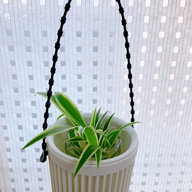 sunabaさんの部屋