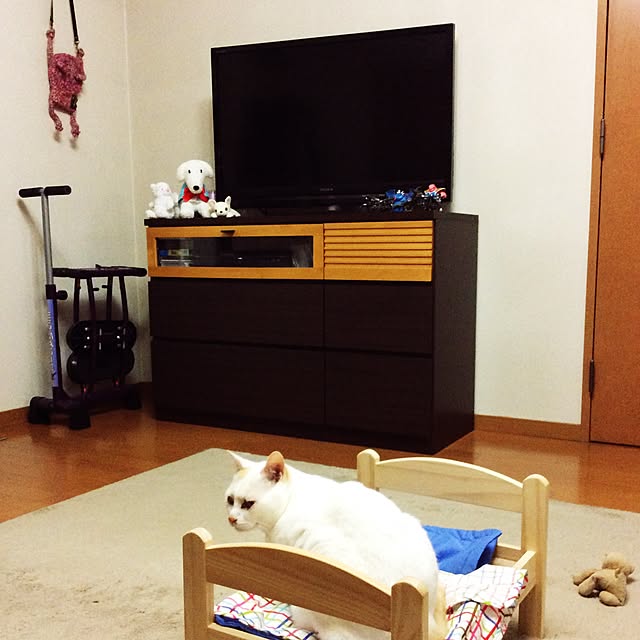 mayuさんの実例写真