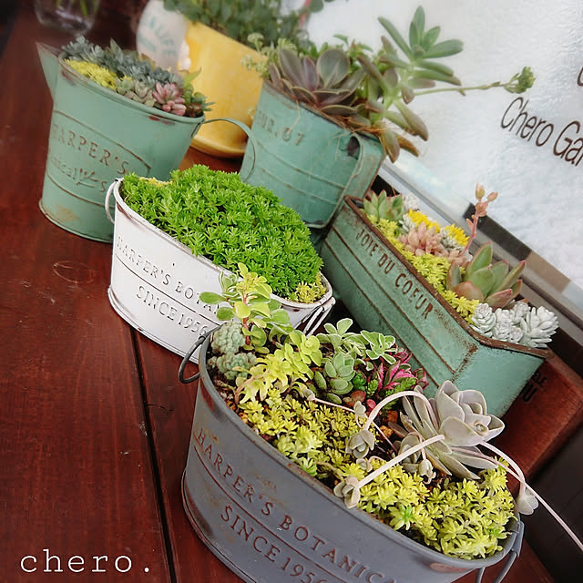 chero.さんの実例写真