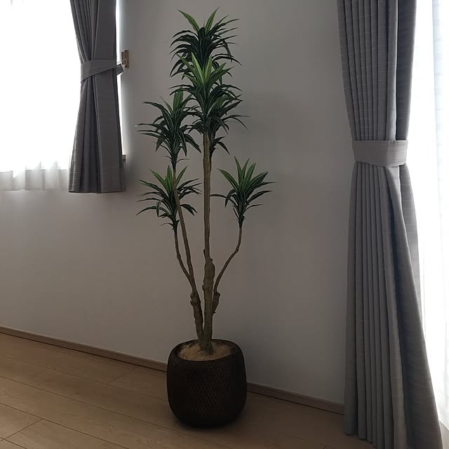 Masamiさんの実例写真