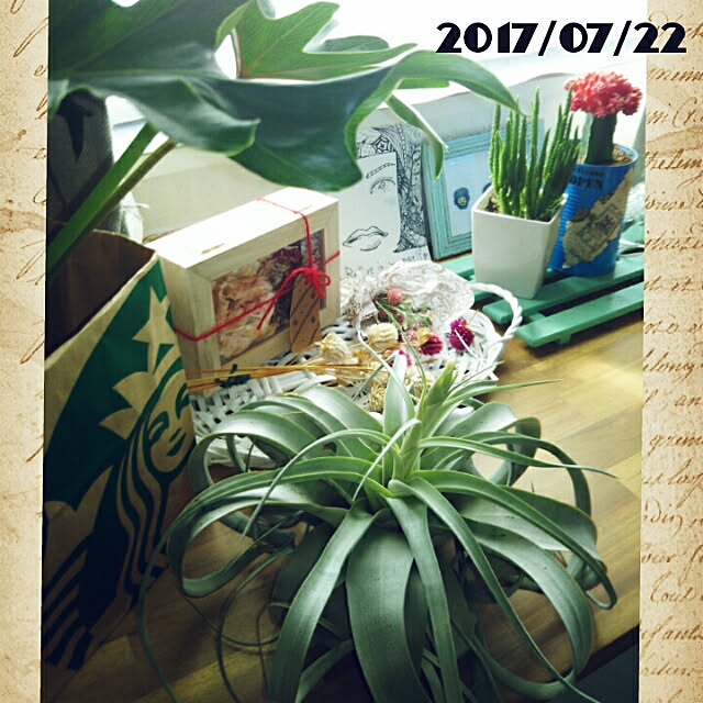 bousuke.215112さんの実例写真