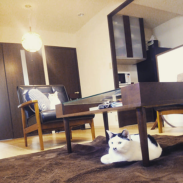 noguchiken0102さんの実例写真