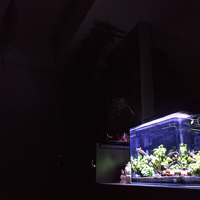 anago106さんの実例写真