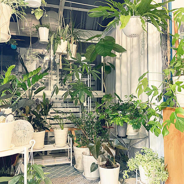 kanakoさんの部屋
