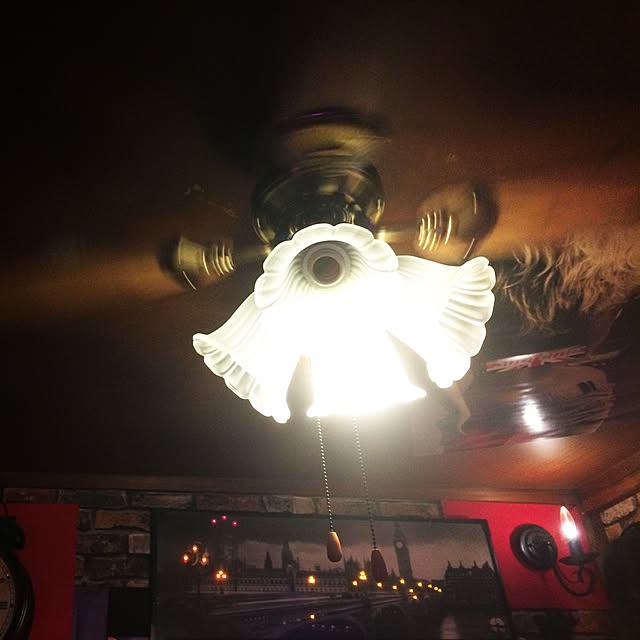 draxel3999さんの実例写真
