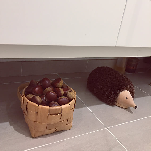 shihoさんの実例写真