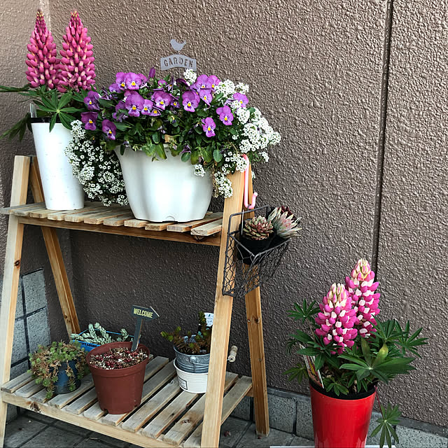 Kumikoさんの実例写真