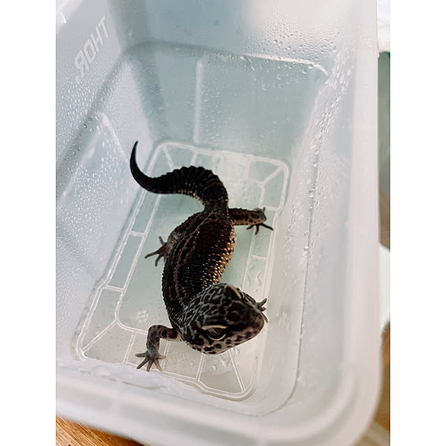 w_end_0625さんの実例写真