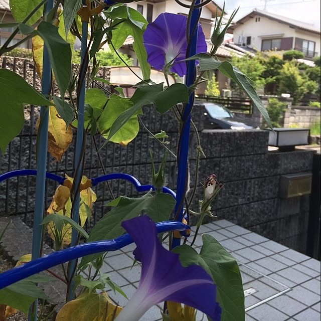 Nakanoさんの実例写真