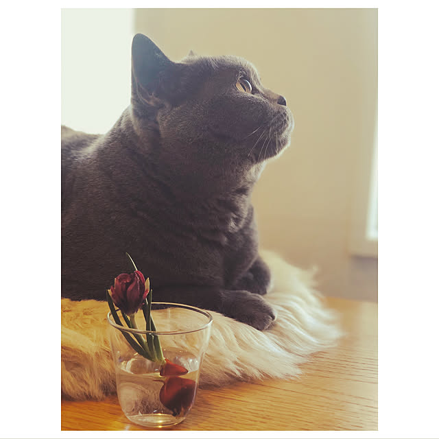 BTGさんの実例写真