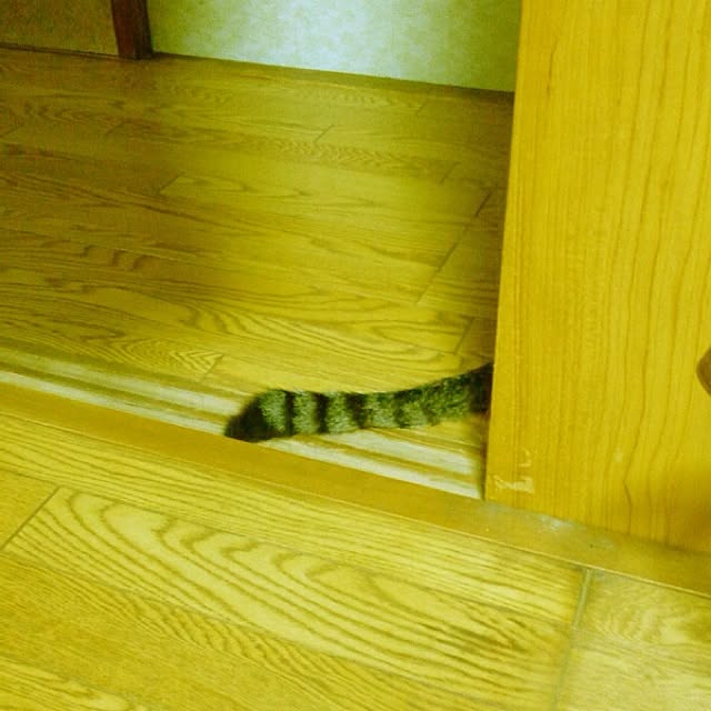 N3さんの実例写真