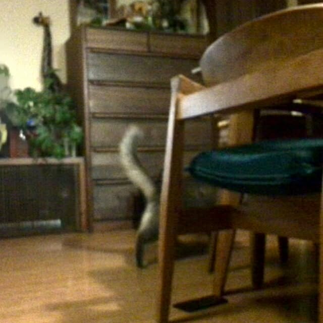 ayuさんの実例写真