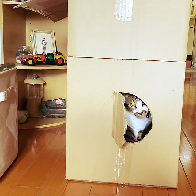 jijiさんの実例写真