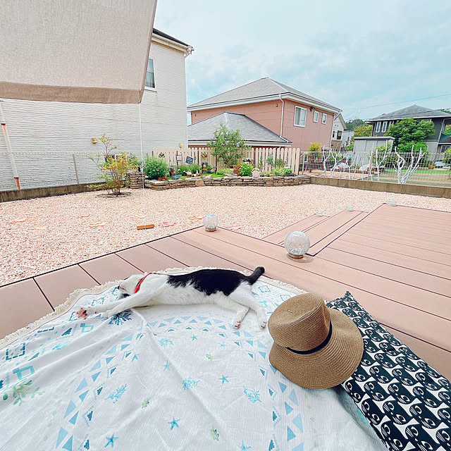moolさんの実例写真