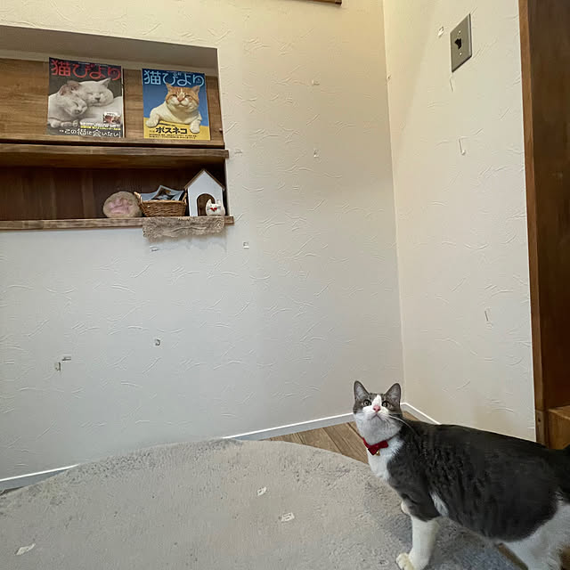 nekosamaさんの実例写真