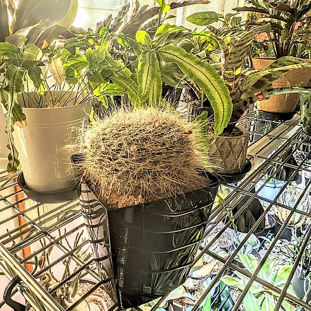 ot-gardenさんの部屋