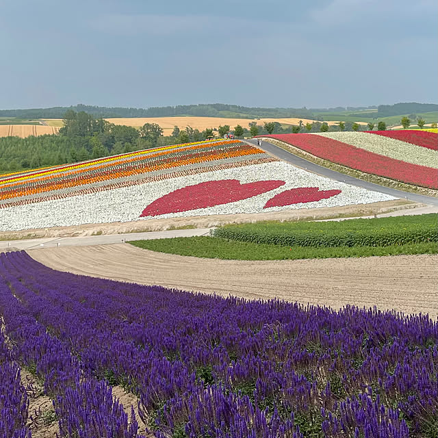 maminさんの部屋