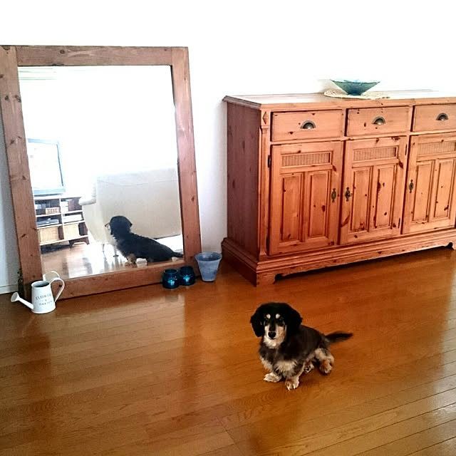 hiyo.pietさんの実例写真