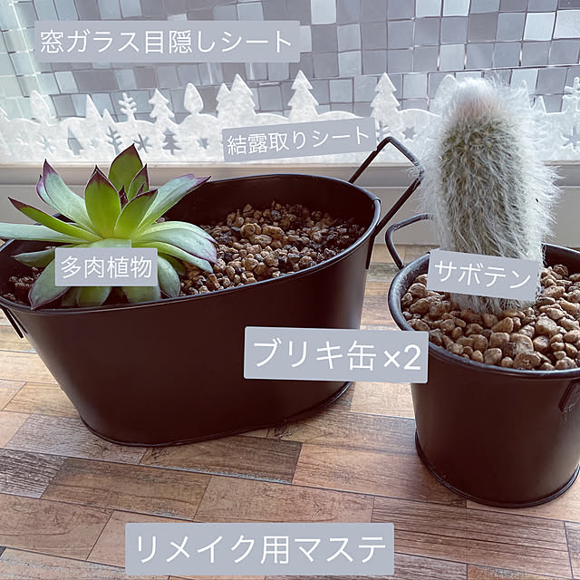 ayumiさんの実例写真
