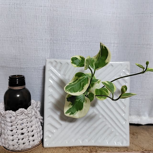 Ri-さんの実例写真