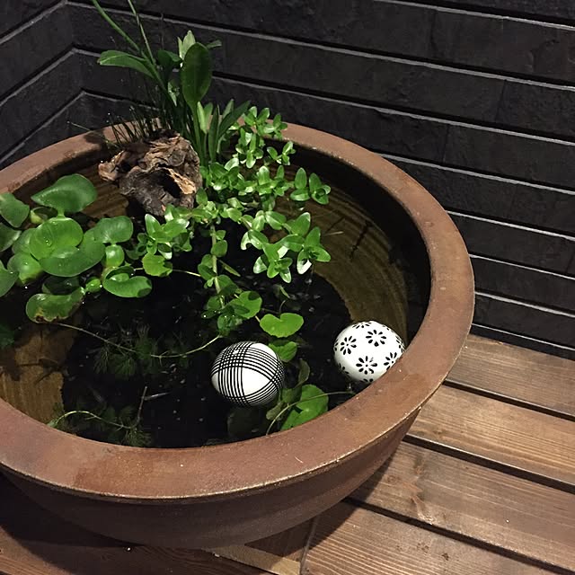 irie.31さんの実例写真
