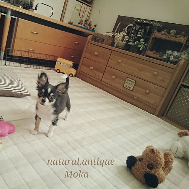 Mokaさんの実例写真