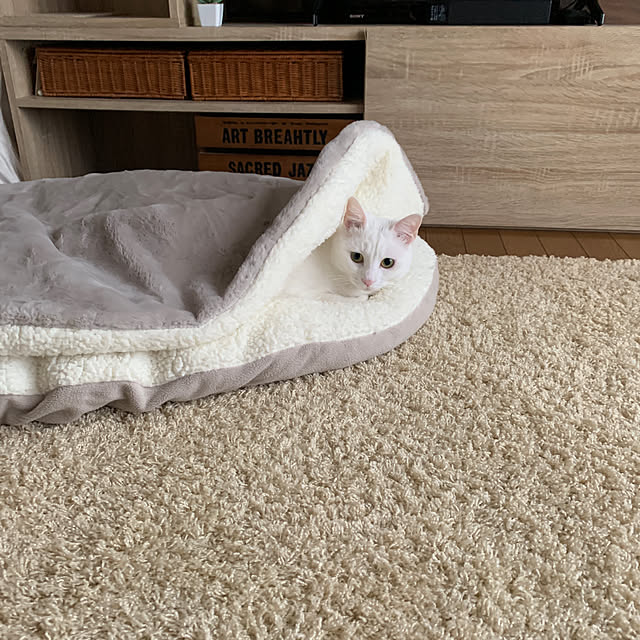 keiさんの実例写真