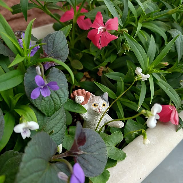 NOAHさんの実例写真