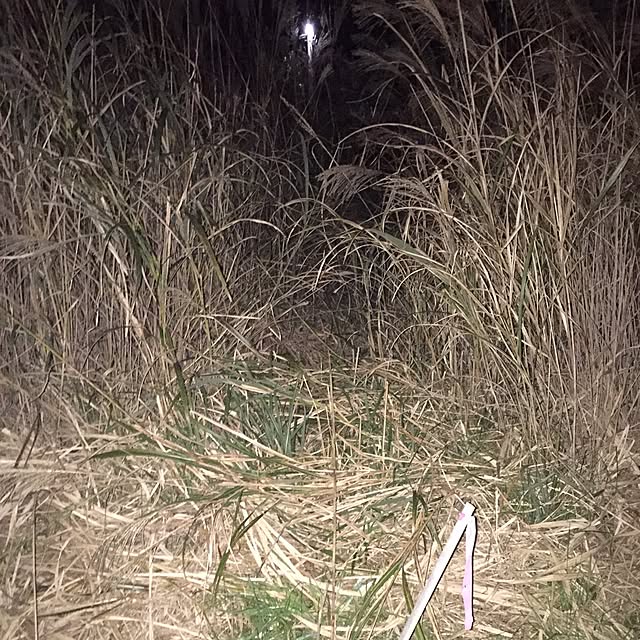 Makiさんの実例写真