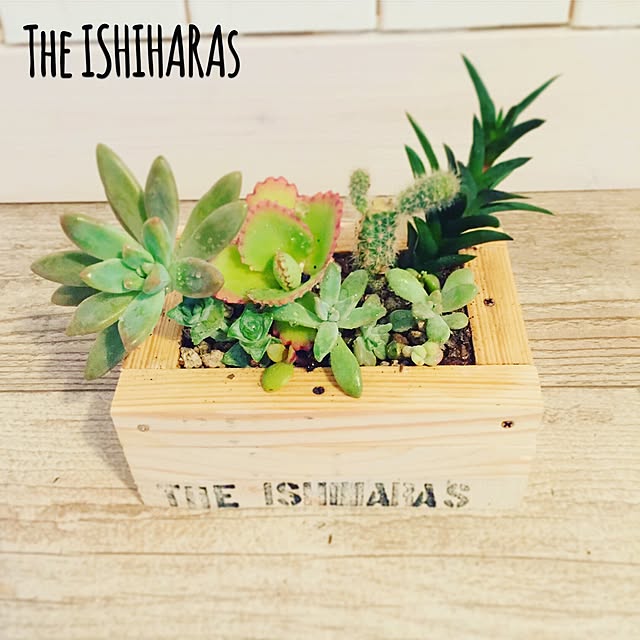 theishiharasさんの実例写真