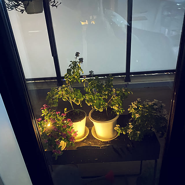 qchan9123さんの実例写真