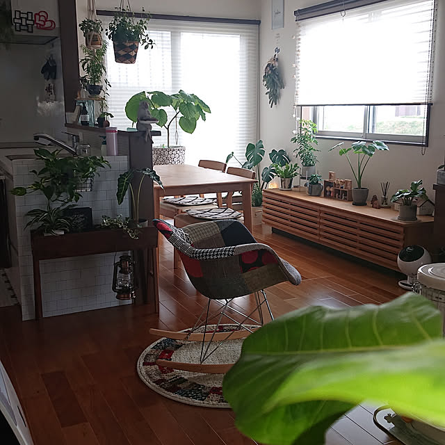 部屋全体/植物のある暮らし/観葉植物のある暮らし/イームズチェア　ロッキング/好きなものに囲まれて暮らす...などのインテリア実例 - 2020-02-27 14:03:41