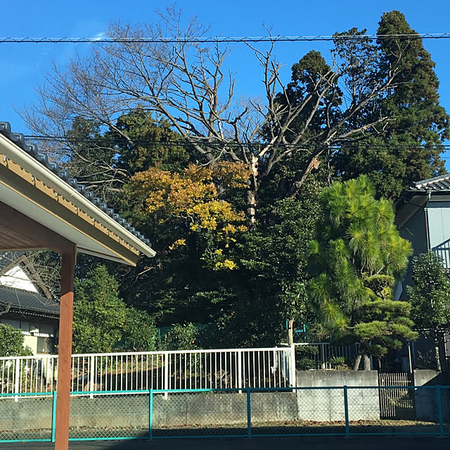chie320510さんの実例写真