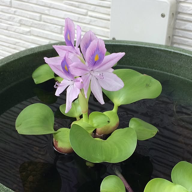 taeさんの実例写真
