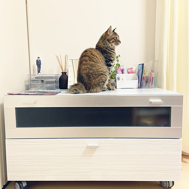 gachaさんの部屋