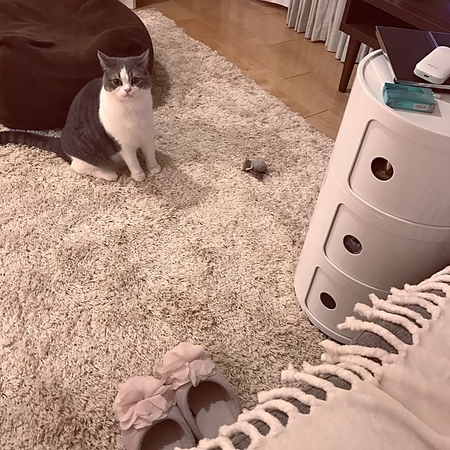 hikari_pppさんの実例写真