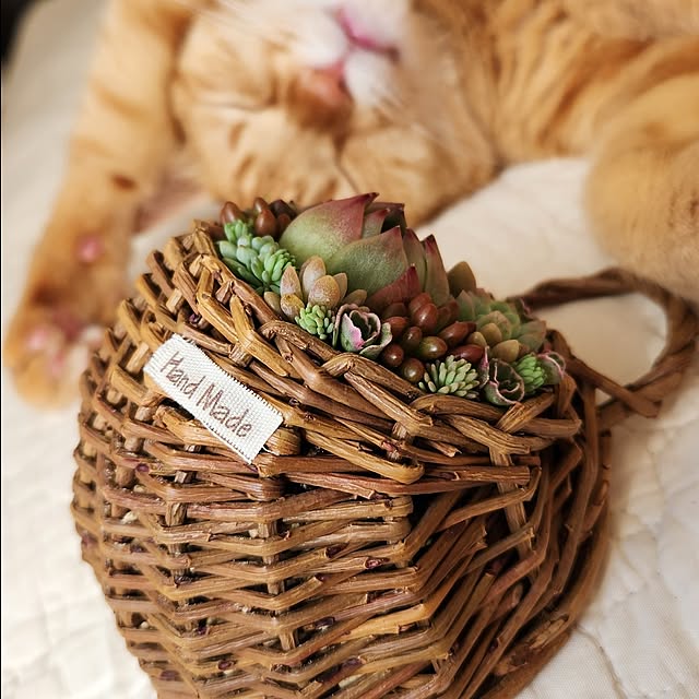 amtさんの実例写真