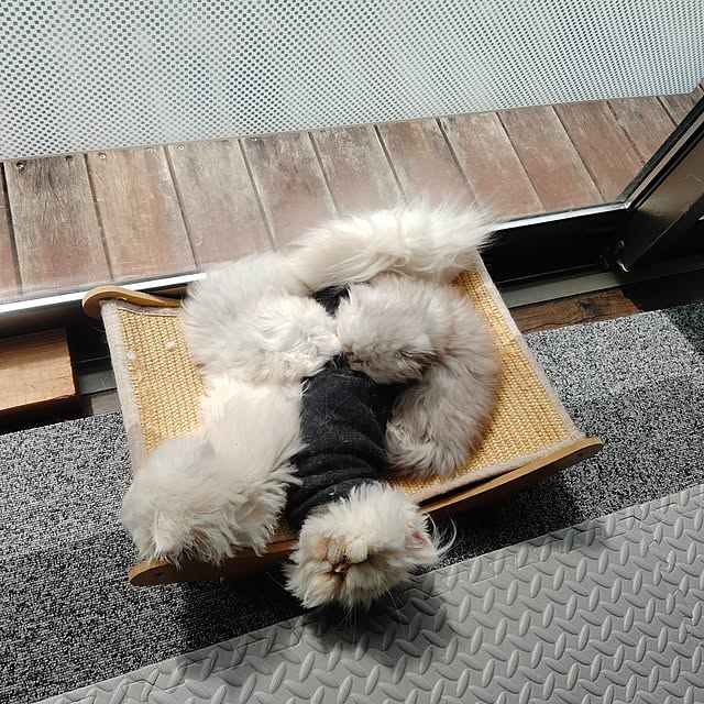 makaronさんの実例写真