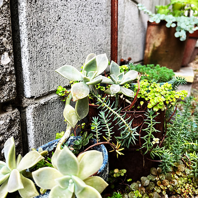 chisさんの部屋