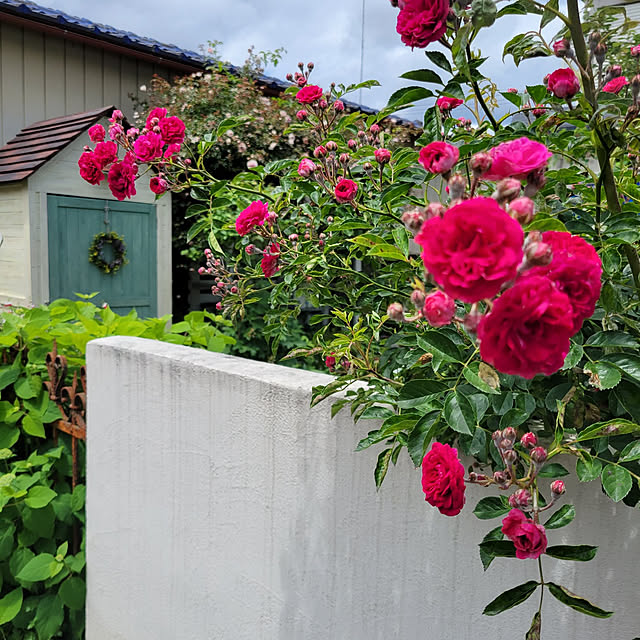 reireiさんの実例写真