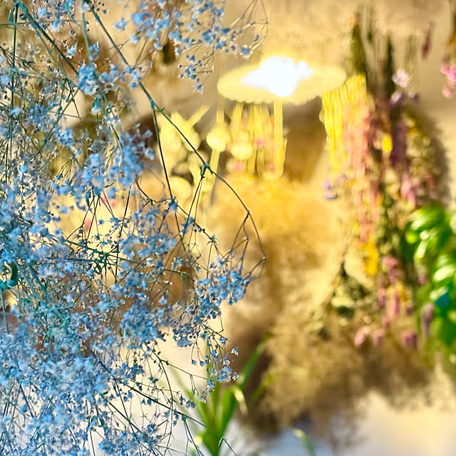 naho81078さんの実例写真