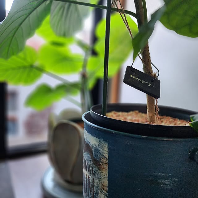 CYNOSさんの部屋