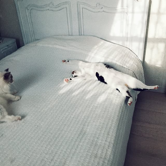 yuchiさんの実例写真