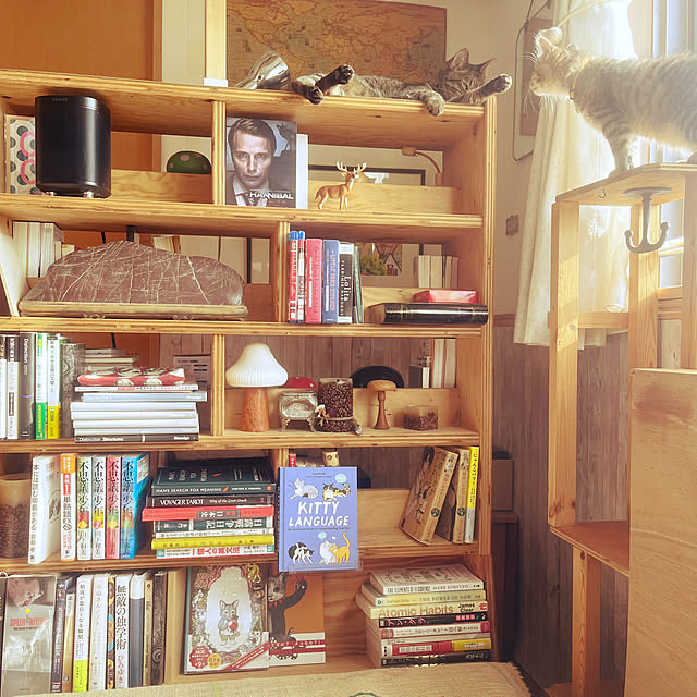Mさんの部屋