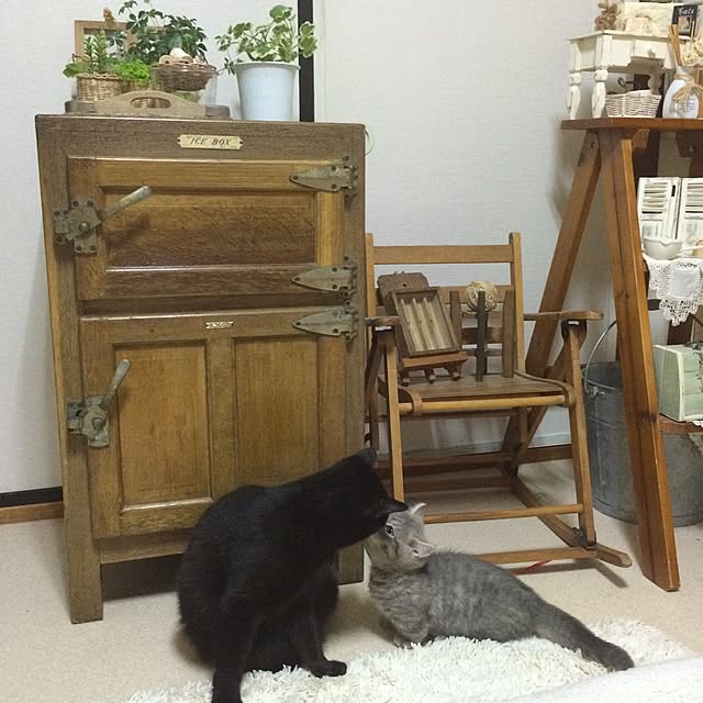 chadoさんの実例写真