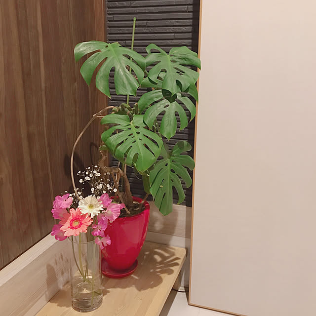 sayさんの実例写真