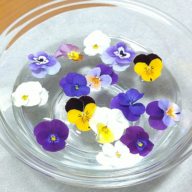 リビング/植物のある暮らし/IWAKI/ビオラ/フローティングフラワー...などのインテリア実例 - 2021-04-04 00:09:43