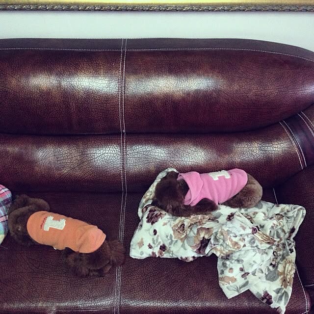 maylieさんの実例写真